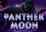 Panther Moon