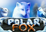 Polar Fox